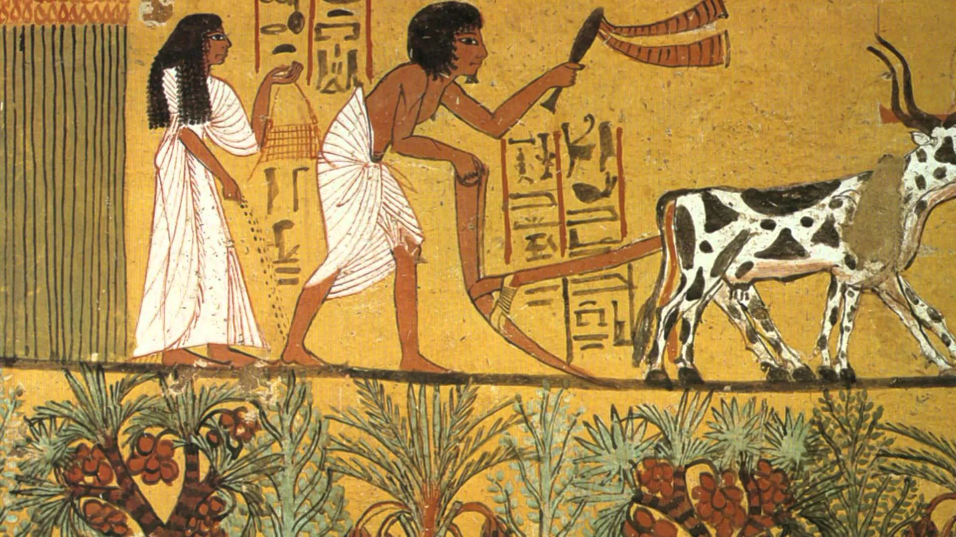 Evolución de la salud y contacto con animales Pintura egipcia que muestra la agricultura y el contacto con animales, representando los orígenes de la propagación de microbios