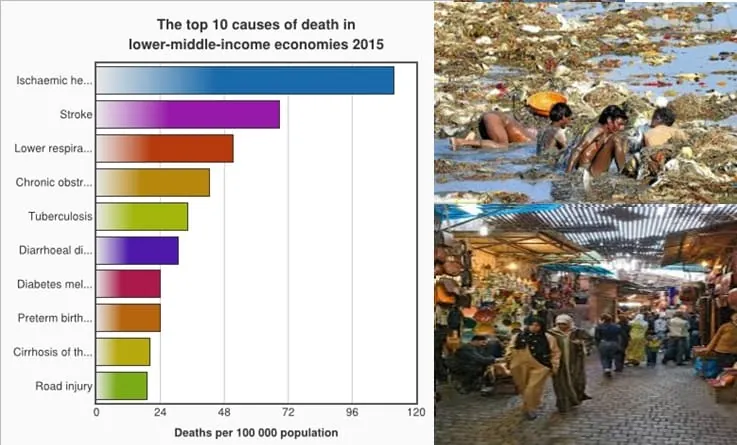 Gráfico de la OMS sobre las 10 principales causas de muerte en economías de bajos ingresos, destacando enfermedades infecciosas y neonatales