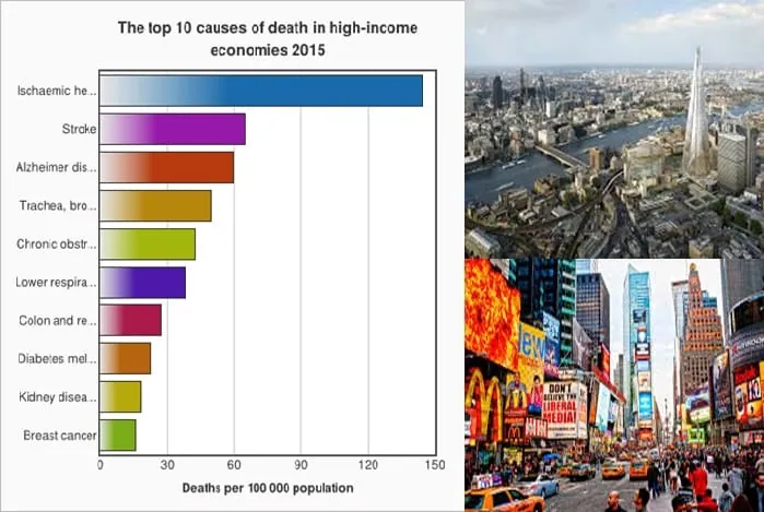 Gráfica de las 10 principales causas de muerte en países de ingresos altos, destacando enfermedades crónicas y cardiovasculares.