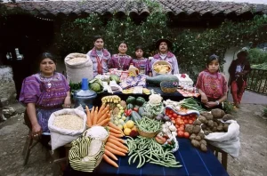 Comida
