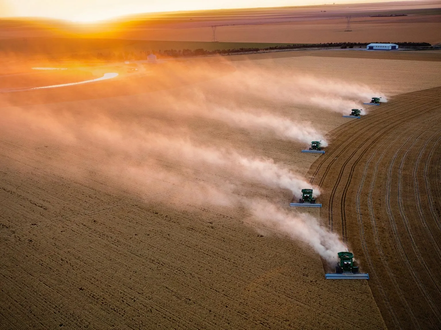 Varias cosechadoras industriales trabajando en línea en un campo de cultivo al atardecer.