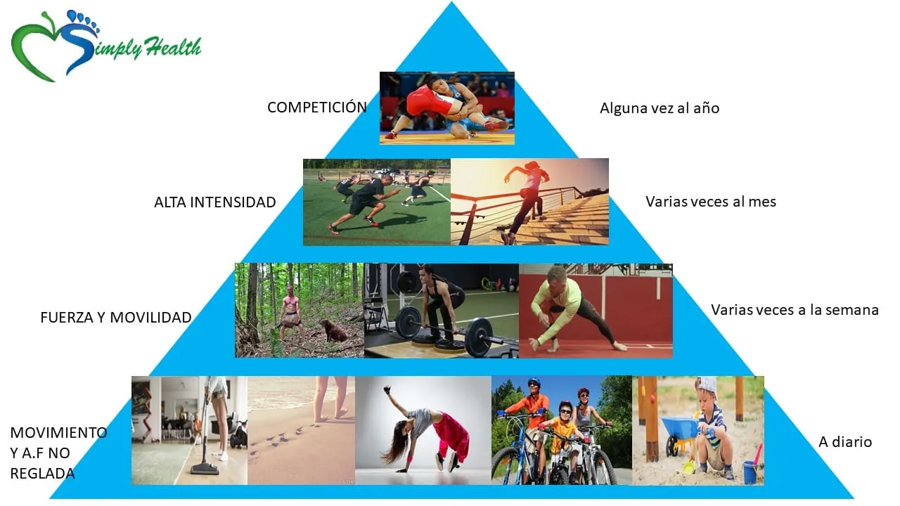 Infografía de la pirámide de actividad física con niveles de frecuencia: diario, semanal, mensual y anual.
