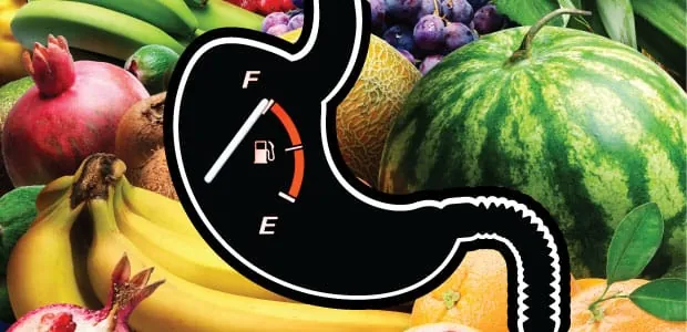 Composición gráfica que superpone un medidor de combustible de coche sobre la silueta de un estómago humano, rodeado de frutas variadas como sandía, plátanos y granadas, representando la comida saludable como energía para el cuerpo.