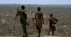 Tres hombres de la tribu Hadza, cazadores-recolectores de Tanzania, de espaldas observando la sabana con arcos y flechas tradicionales.